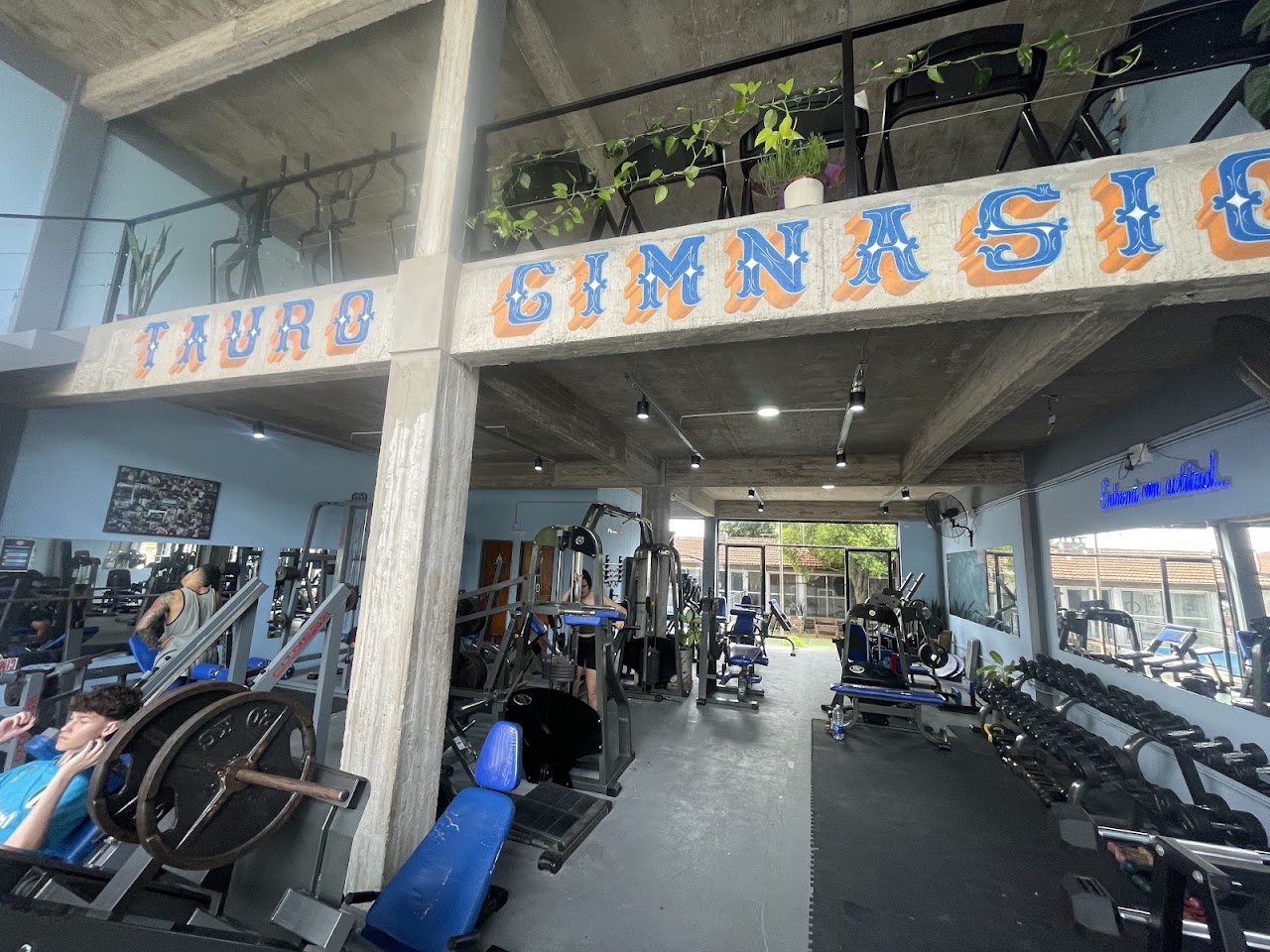 Sala de musculación y racks de potencia olímpicos en Gimnasio Tauro